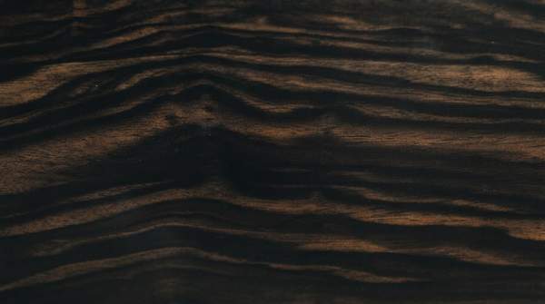 Editorial illustration for Macassar Ebony in Luxury Craft: Beauty Worth Its Difficulty